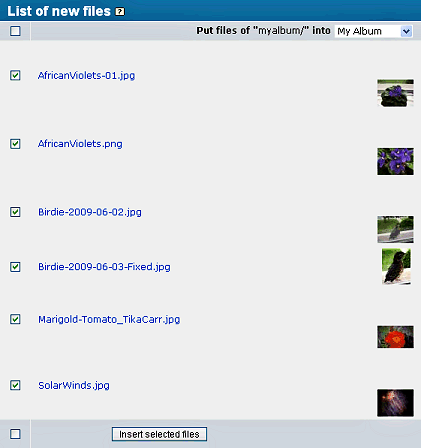 Add Uploaded Files - Shows Thumbnails